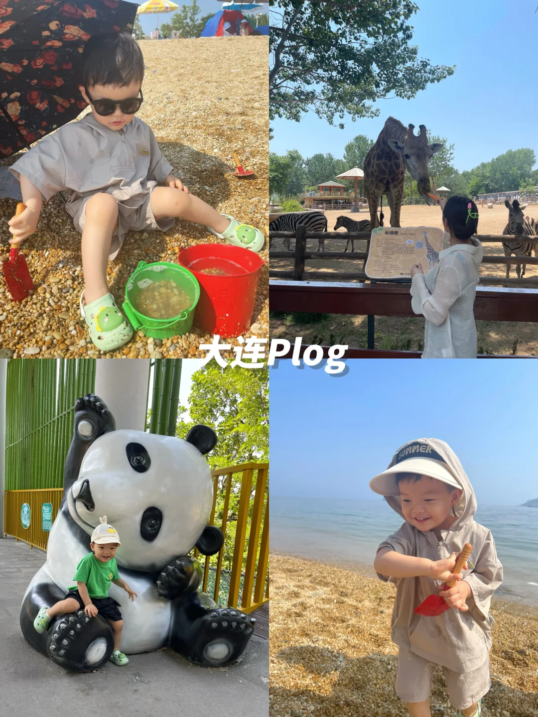 沈阳出发~    带娃自驾大连2日游🏝️