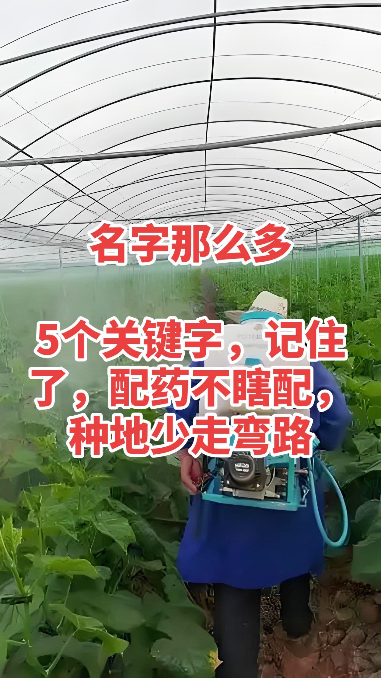买农药不用记那么多名字，记住五个字，看名字就知道管啥用，省事又不踩坑。
第一个素