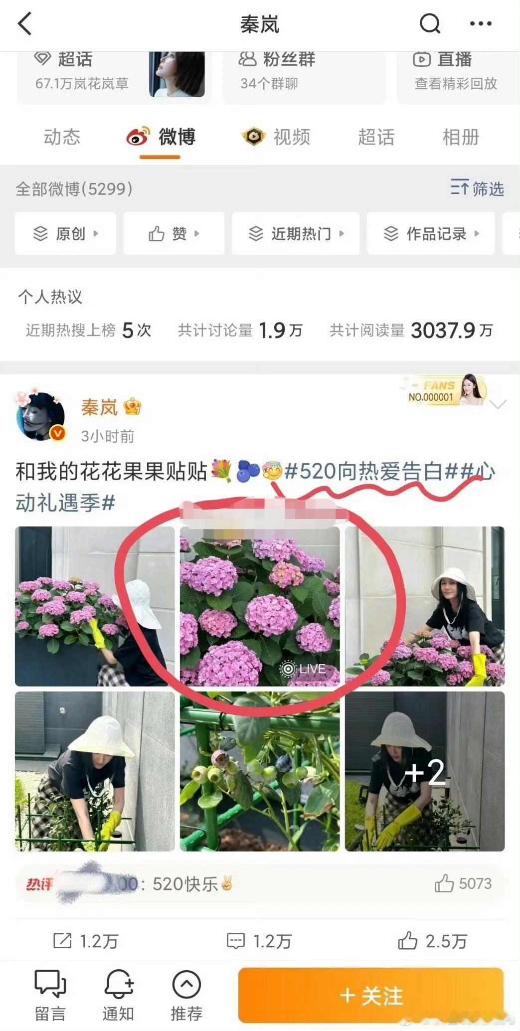 秦岚发了疑似有魏大勋声音的live图两个都是很好的人，要是真的那请一直幸福下去！