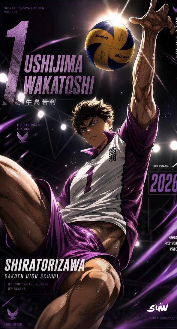 牛岛若利vs木兔光太郎 🏐动漫点评团排球少年动漫