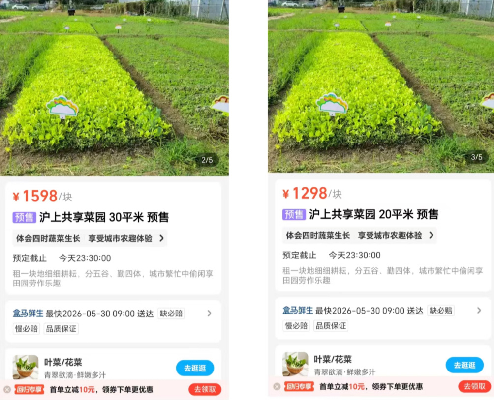 盒马共享菜园使用权为一年盒马共享菜园目前仅在上海试点 近期，盒马在上海上线了共享