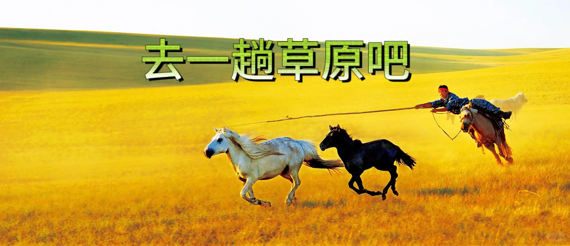 可以肆意奔跑的大草原