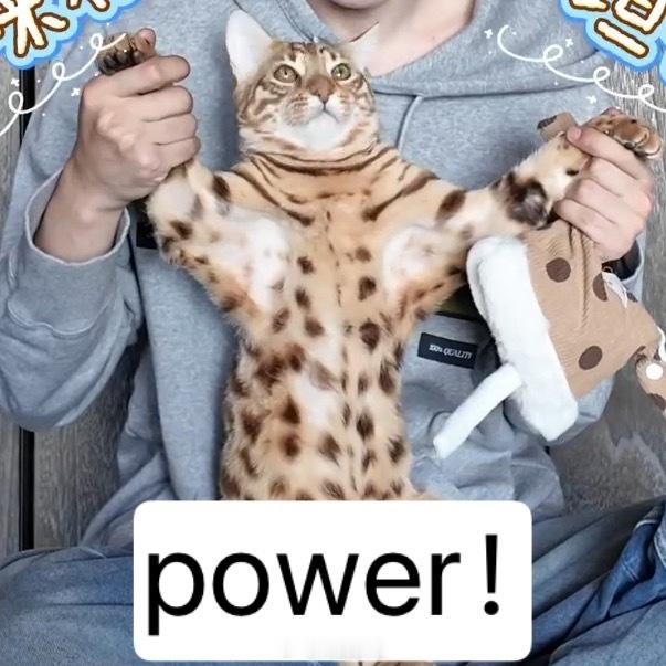 power！💪 