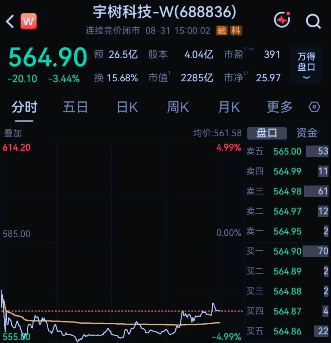 最近的最惨烈新股是哪个？那非 宇树科技 莫属了，8月31日宇树科技收盘价564.
