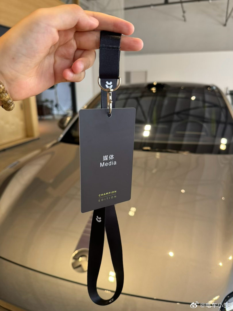 听说这张证现在炒到3万了王安宇的号召力太强了蔚来王安宇王安宇蔚来ec6灵感驾趣季