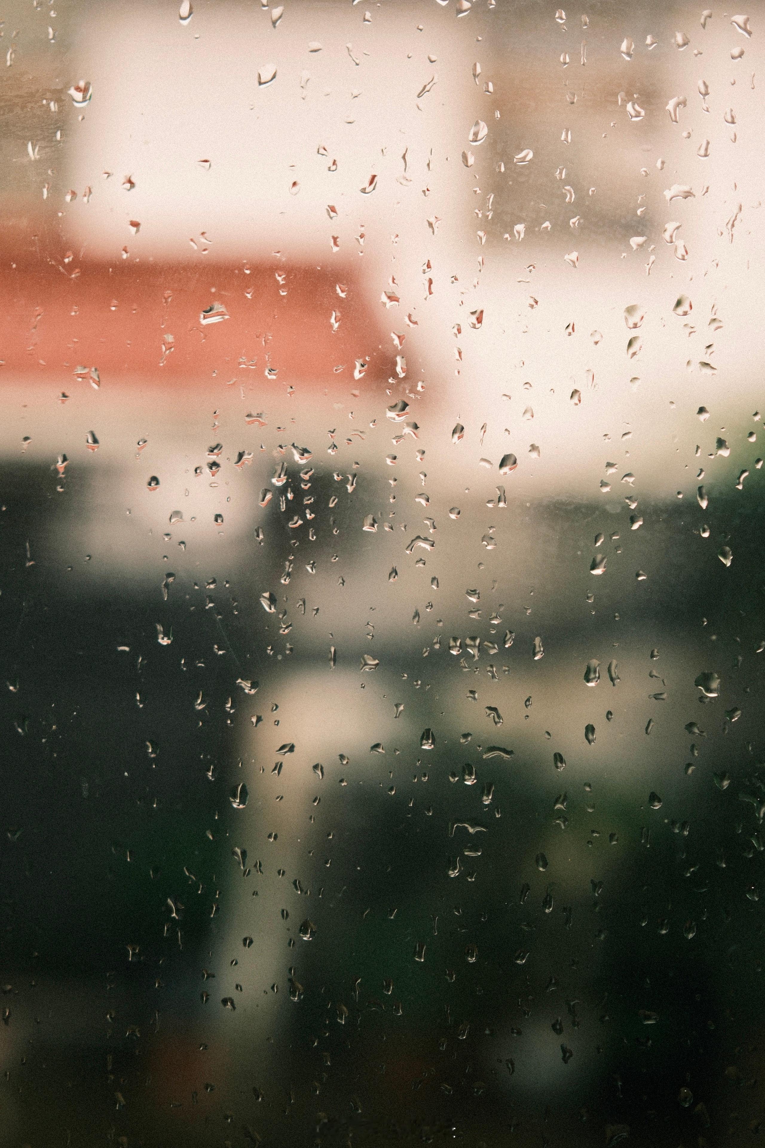 此刻。雷暴雨过后，天空划过一条彩虹。🌈收到邻居自家种自家做的藠头。 