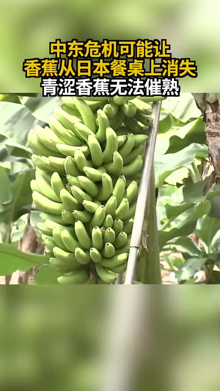  50年最严重危机！日本餐桌或将消失香蕉，根源竟是石油
 
你敢信吗？一种日常水