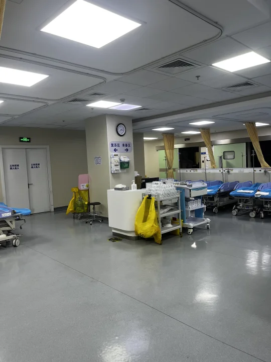 今天是“多肉的”一天