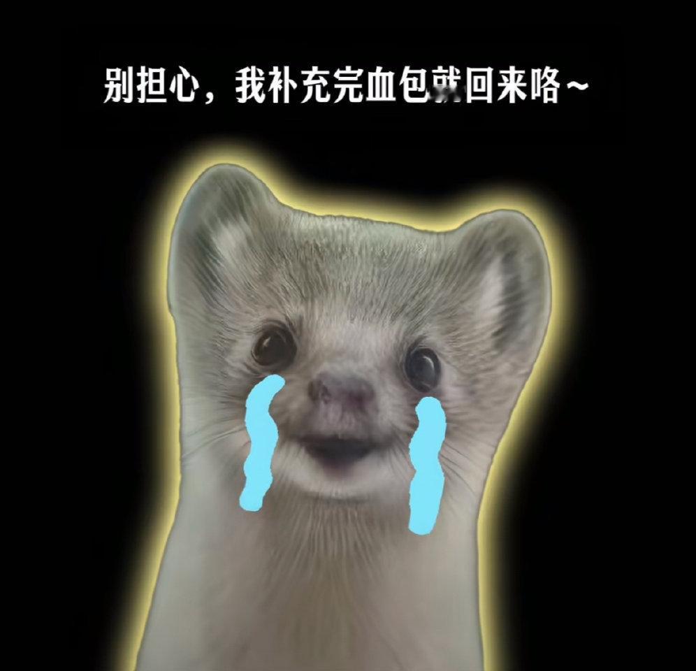 之前四字的电影是一番还是二番粉丝根本不在意，二番也照样认真对待，二番也照样冲票房