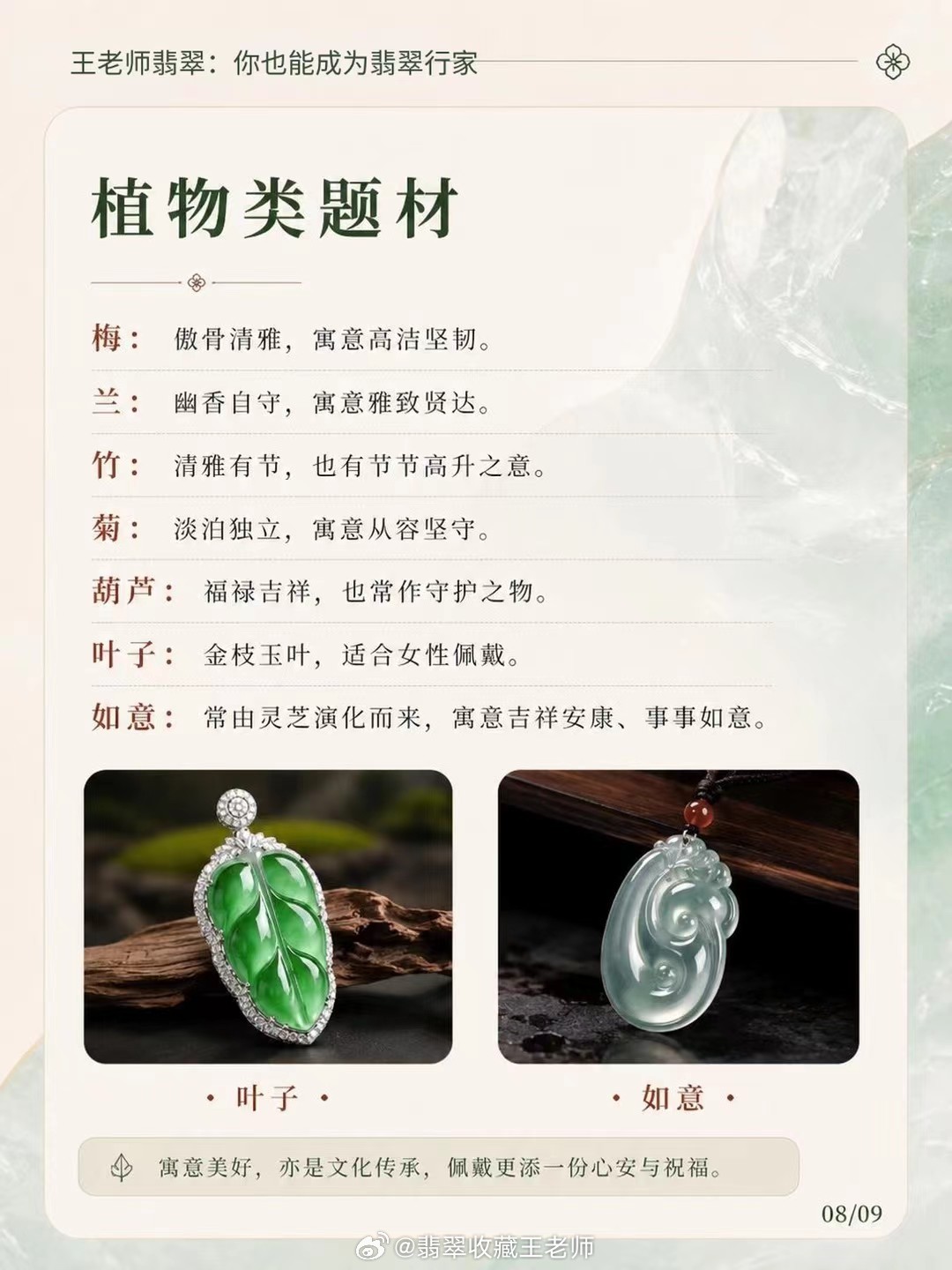 【王老师每日科普】玉必有意，意必吉祥不同题材的翡翠挂件，寓意也不一样：植物类✨王