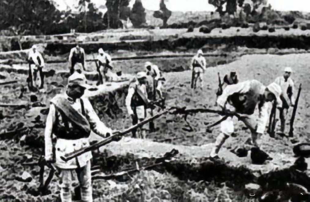 1945年，新四军战士李福兴在清理战场时，眼尖地发现一具日军尸体上挂着一把步枪。