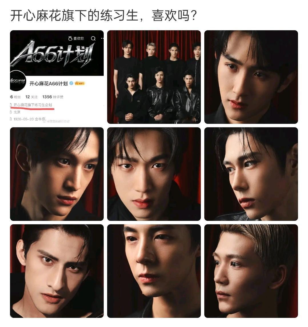 以后会不会要沈腾带他们上综艺
