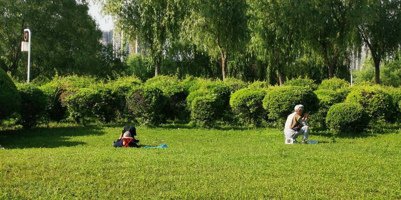 一句话概括，幸福是什么⊙∀⊙？前半生挣钱就能活着，后半生活着就能挣钱。