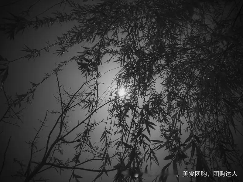 看到“竹影清风摇月色”这个上联，瞬间感觉意境满满。竹影在清风中摇曳，还搅乱了月色