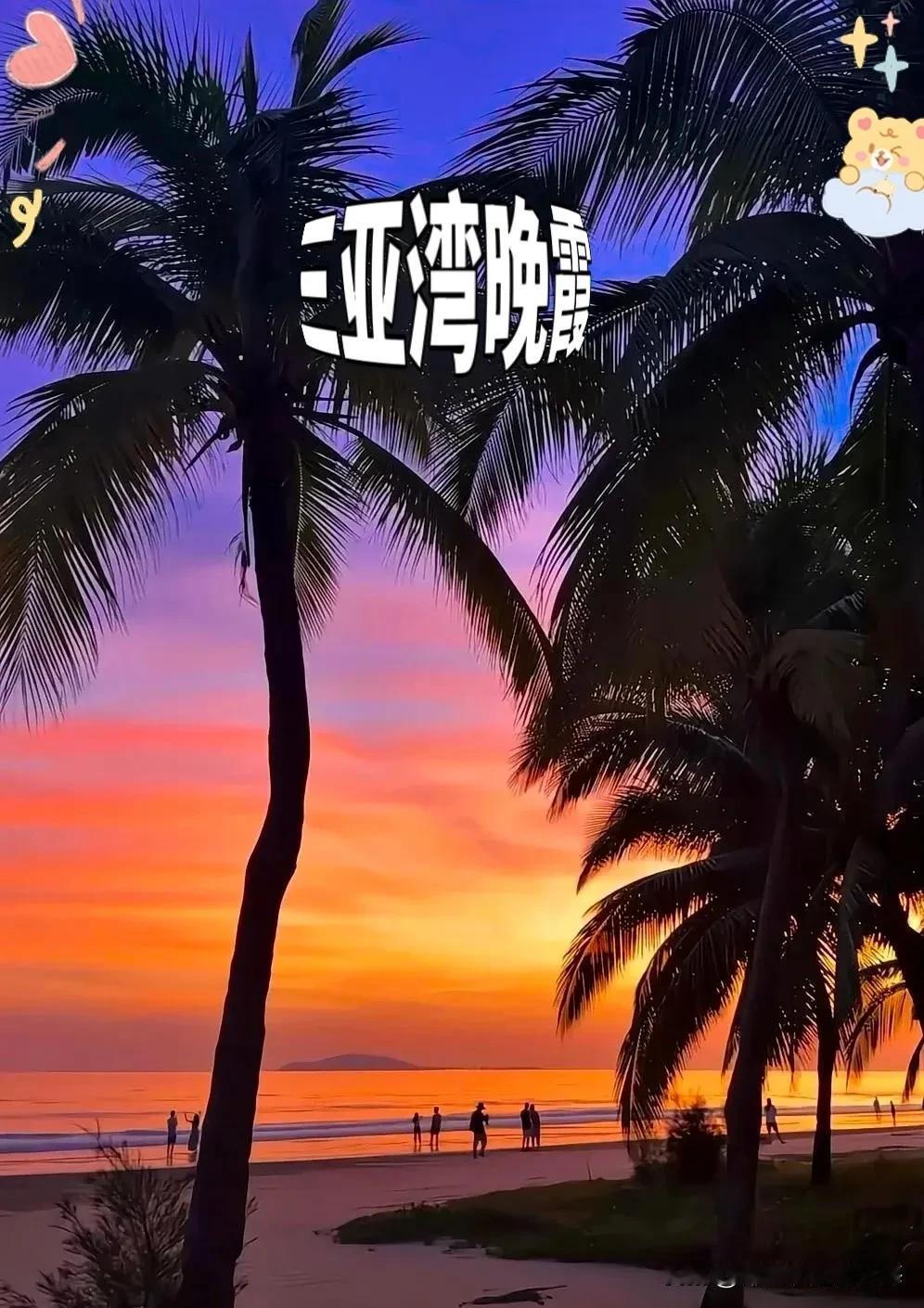 我一个土生土长的三亚人，就因为撒贝宁那句“白活了”，我脑子一抽，连夜扛着行李箱奔