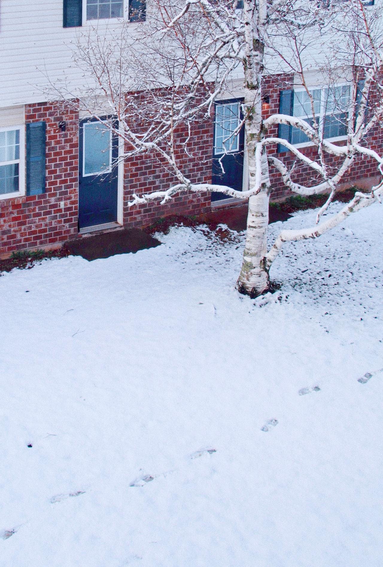 马上五月了，一觉睡醒发现下雪了……应该是最后一场了……吧？  ​​​