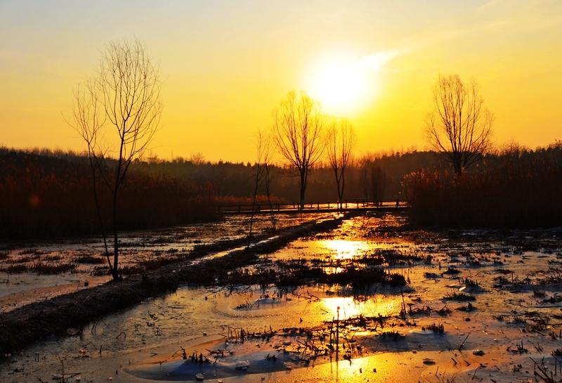 时光就像个急性子的快递员，风风火火地往前赶，转眼间，一年就只剩最后三天啦。这可不