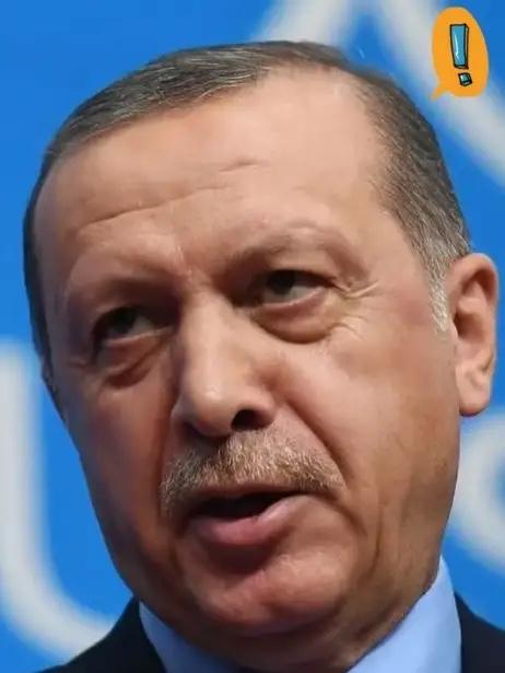 就在刚刚 ！
土耳其宣布
10月7日，土耳其宣布总统埃尔多安给克里姆林宫打电话，