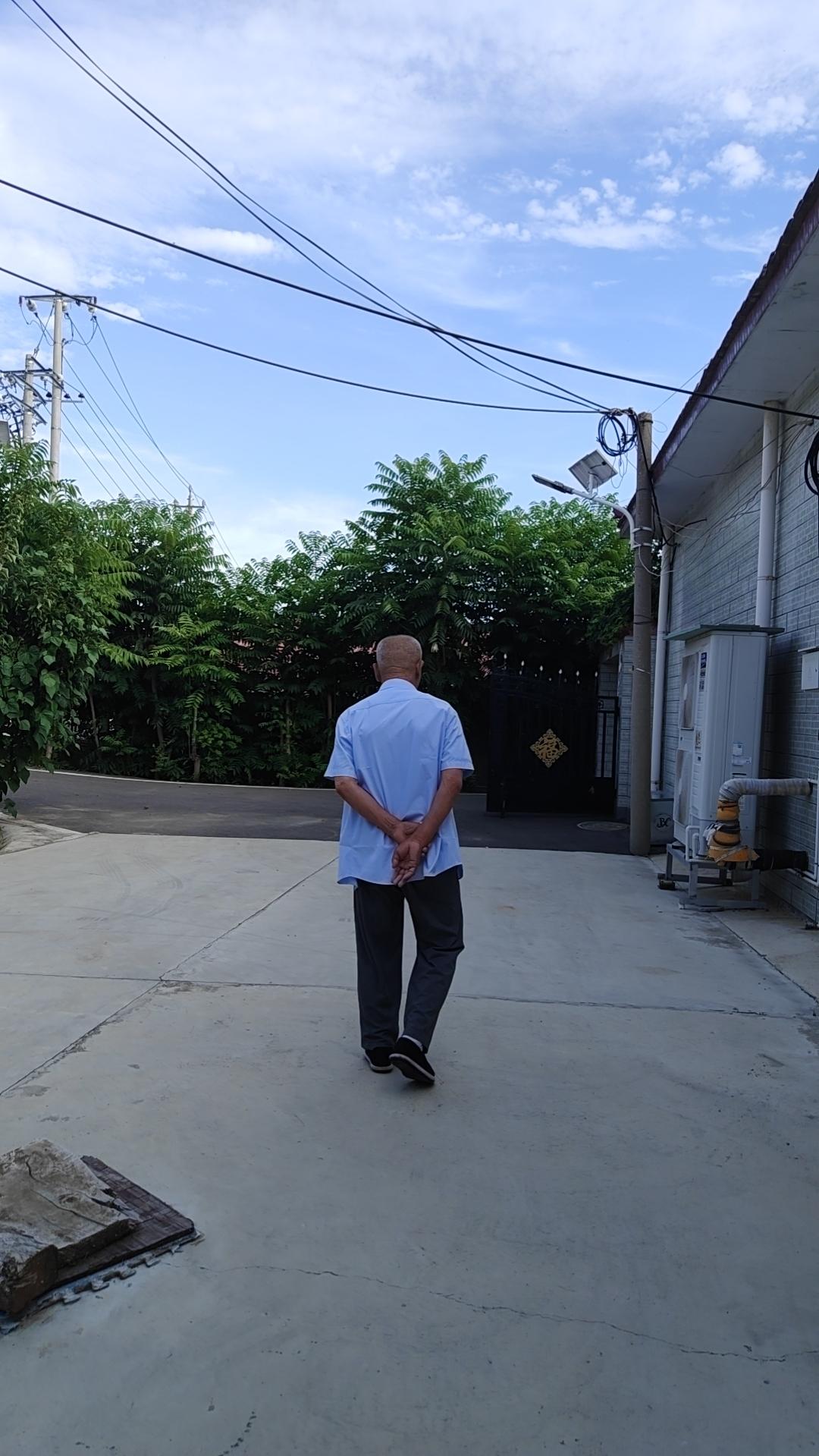 子楚初学划船，遇到逆风时拼命用力，船却退得更快。老渡一把夺过船桨，将其横在船尾当