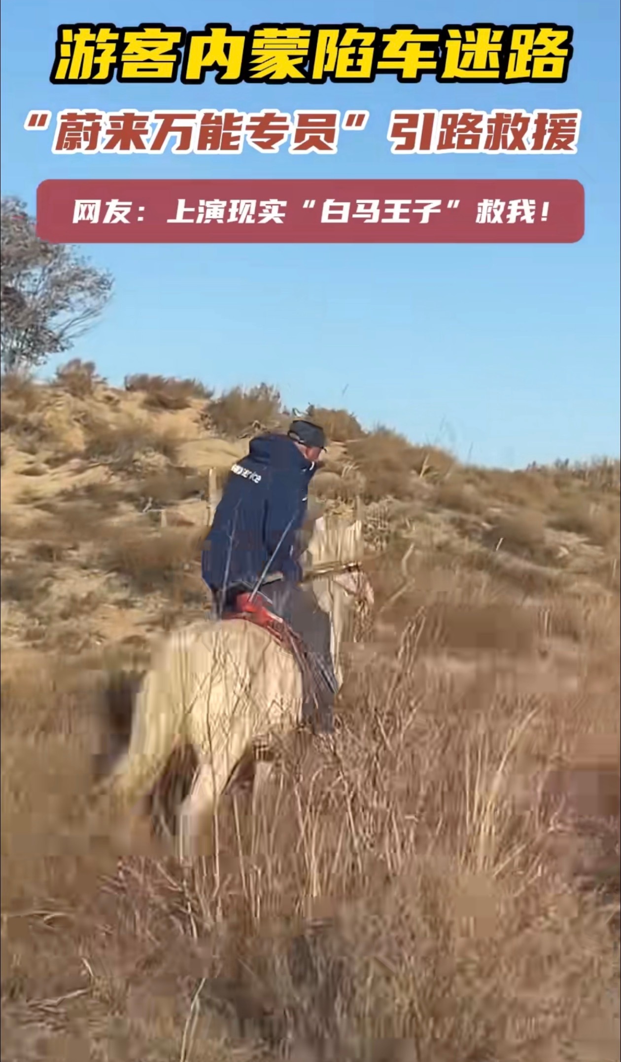 啊？有蔚来车友在内蒙自驾陷车了，蔚来小哥直接骑了白马来救援。现实版白马王子了。 