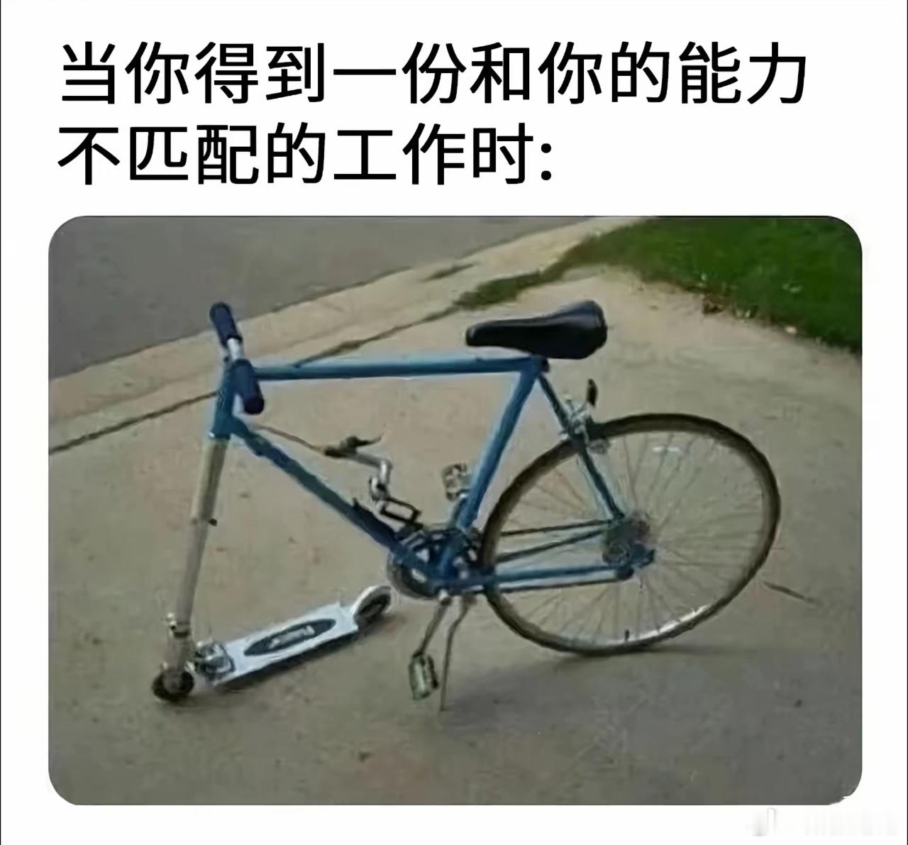 99%的痛苦都能在这12字里找到答案！不以物喜不以己悲知行合一 