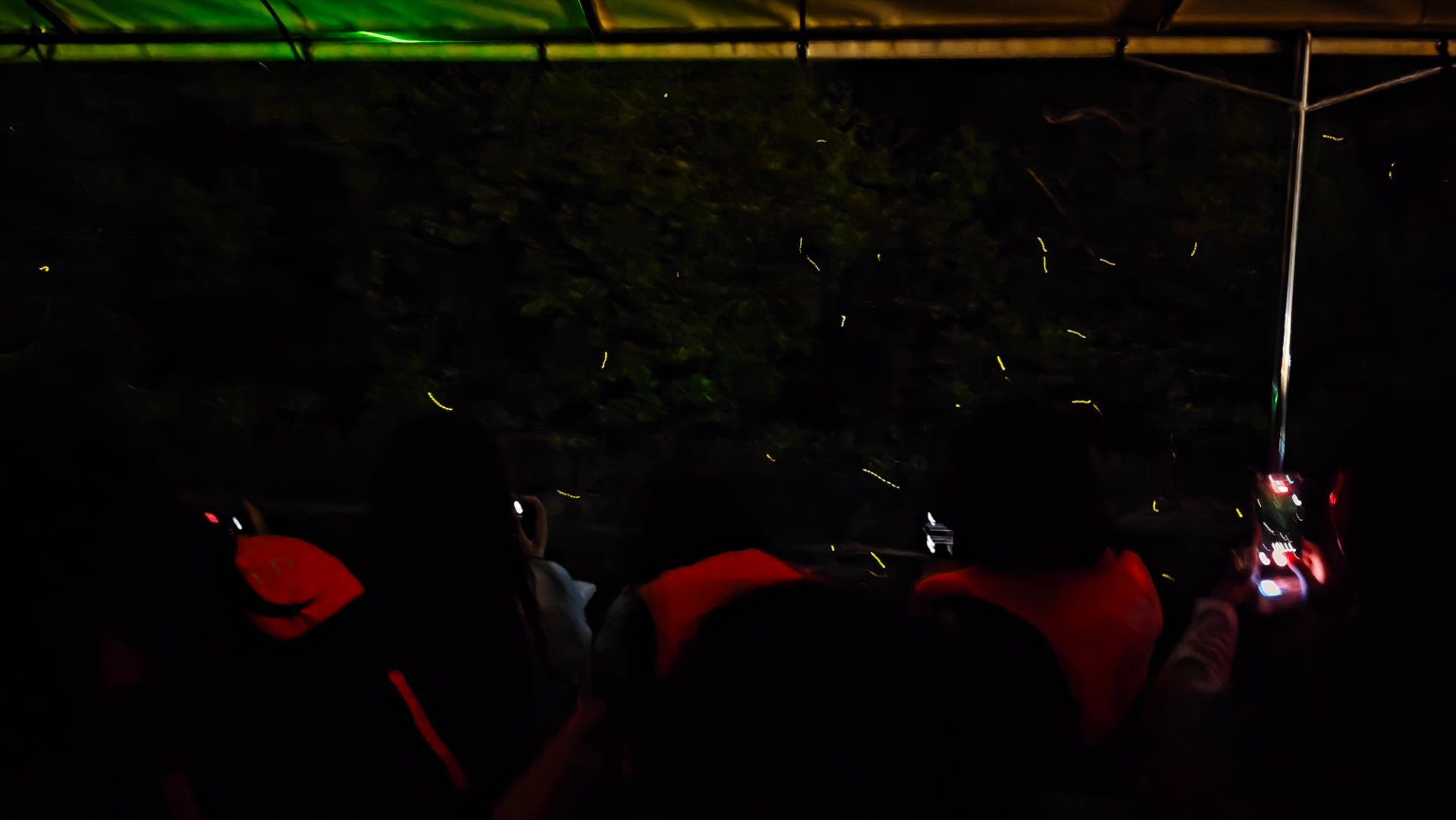 上百只萤火虫迎面飞过来太浪漫了。回想一下上次在国内见到萤火虫是在蓝色港湾牛屋，而