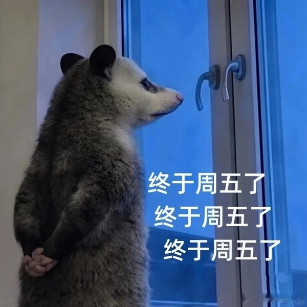 朋友们，终于周五了！短剧