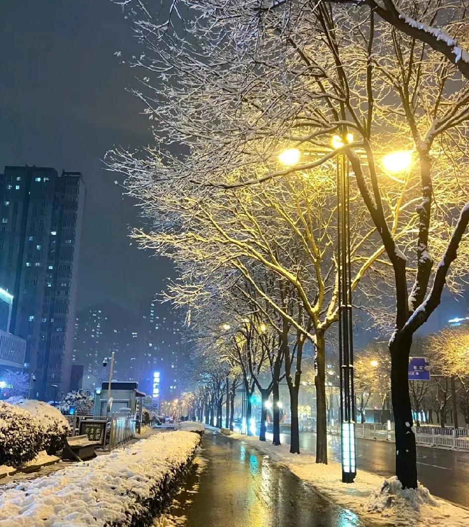 冬至快要到了，西安的雪在哪里，到底什么时候下雪呢？

往年的现在西安早就下了一场
