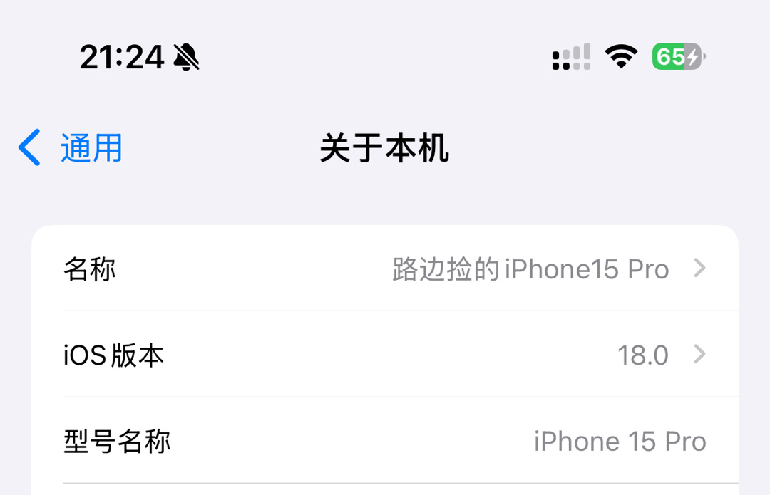 闲聊一下，更新了iOS18的朋友都是用主力机还是备用机冲的？我肯定必须是用的主力