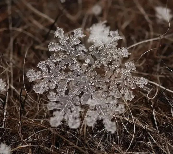 【雪花为什么让科学家如此头痛？】雪花为什么会那么迷人，却又每一片雪花都是独特的，