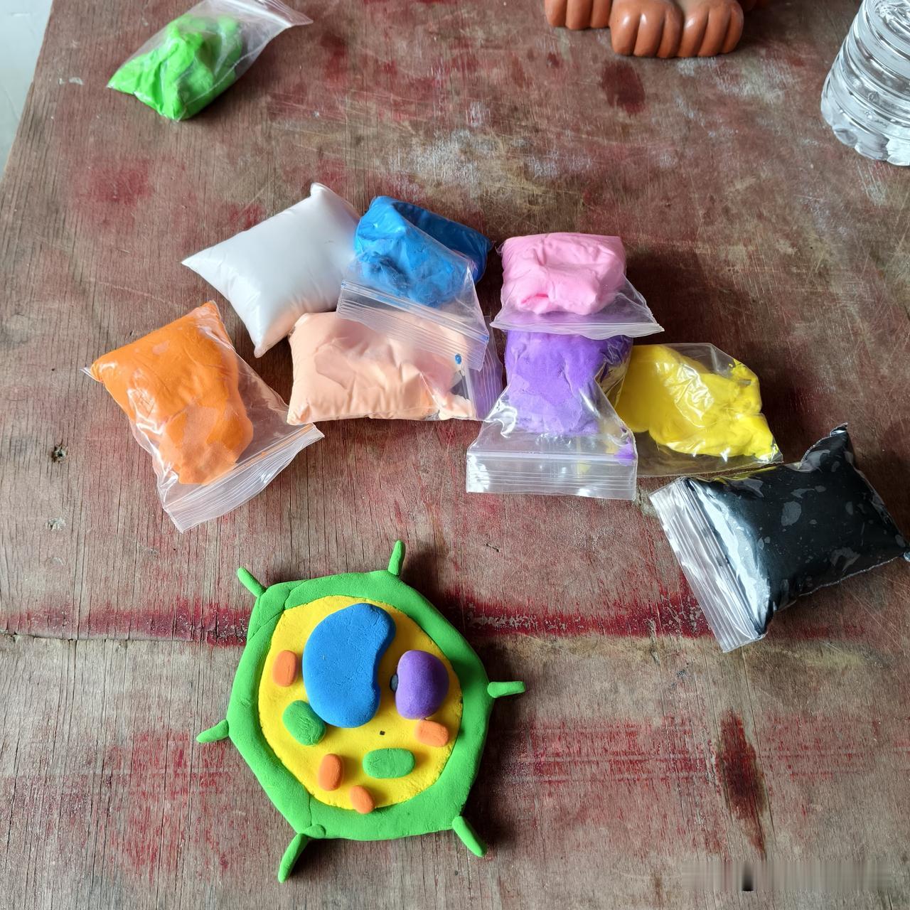 上初中了还要玩泥巴，摆得乱七八糟，我说两句，儿砸说是老师布置的作业，叫什么细胞。