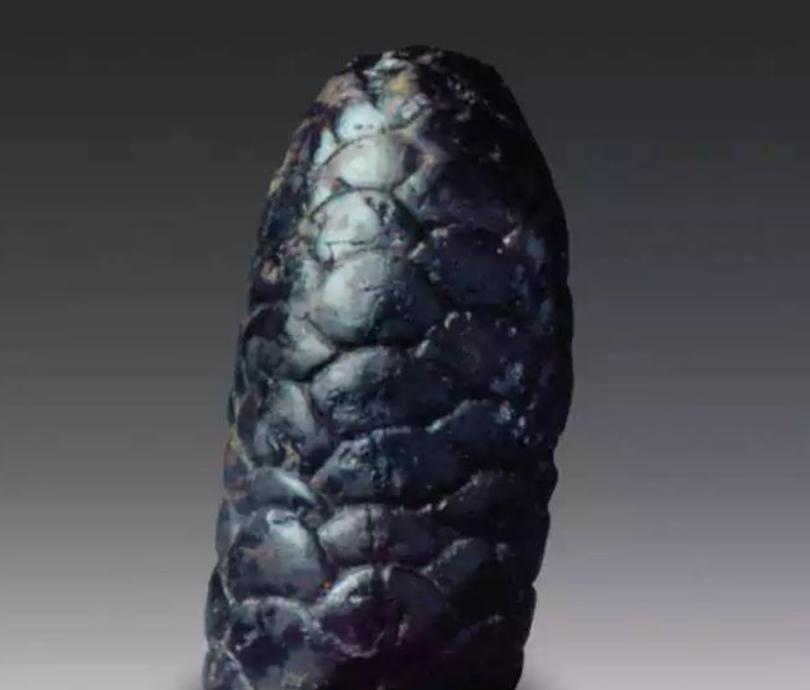 1973年，宁夏一小伙子去挖药材，邻居家的姑娘也要跟着去。起初小伙感到为难，毕竟