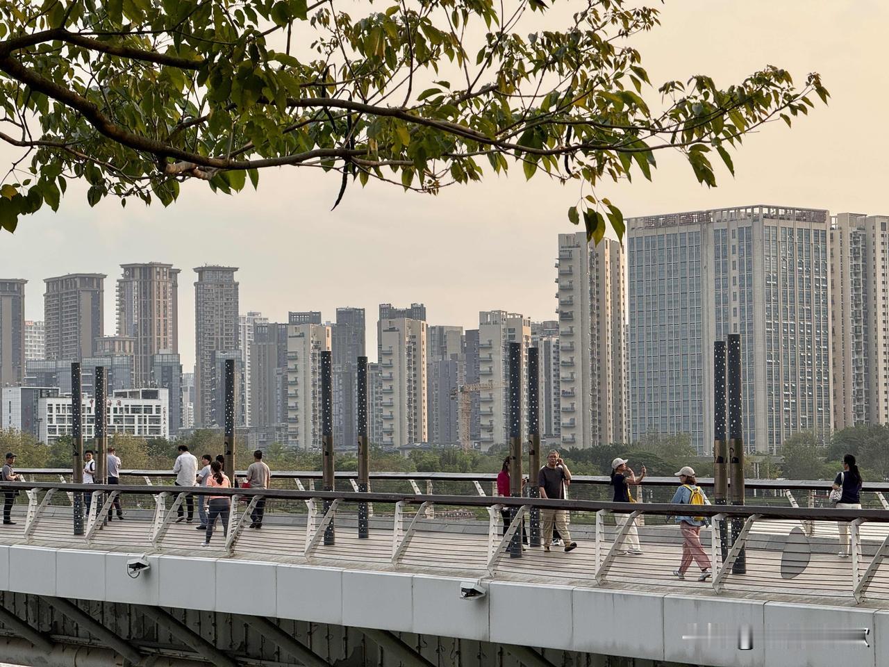 深圳人才公园真的太绝了！它是全国首个以“人才”为主题的市政公园，占地77万平方米