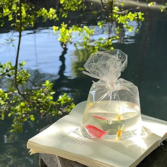 自然感𝗪𝗲𝗰𝗵𝗮𝘁背景图.ᐟ‪.ᐟ 盛夏壁纸大放送动漫仲夏狂欢季