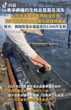 心不是一般的大！广东深圳，一男子养殖的生蚝总是莫名消失，他以为是亲友拿走吃了，就