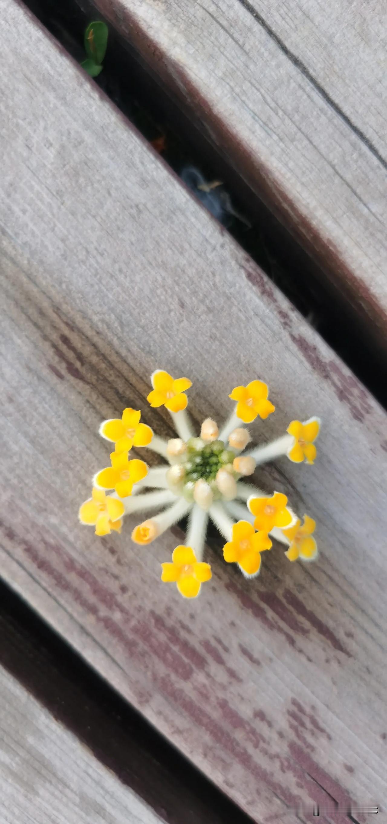 单位一女同事比我小一岁，经常自怨自艾，总说人活着没意思，问了一下她有什么爱好，这