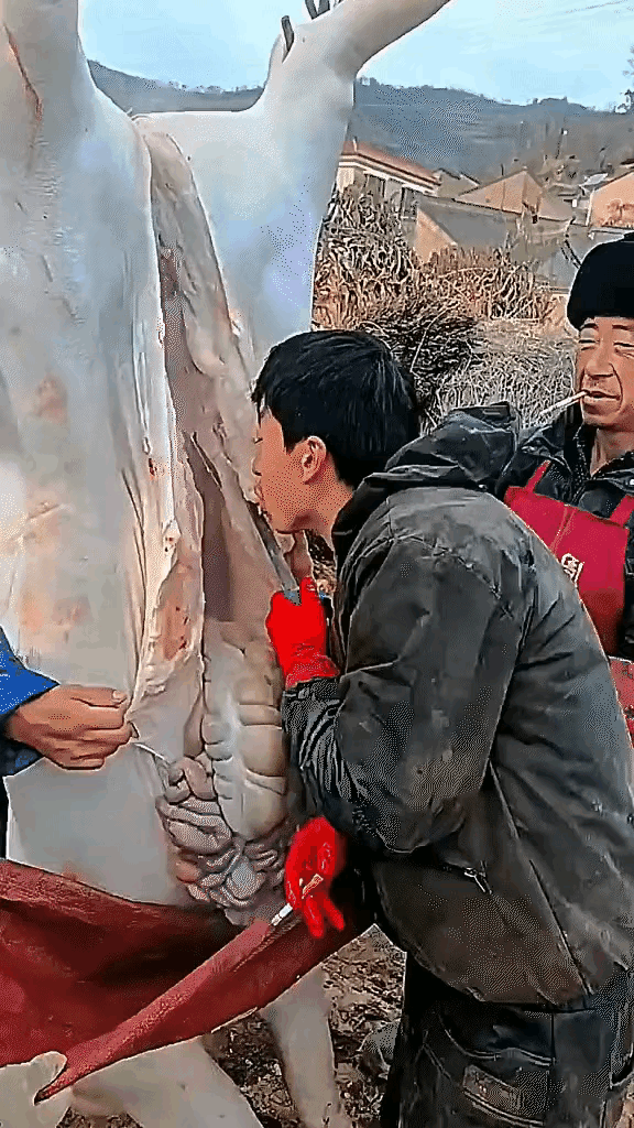 这是哪个地方的习俗？