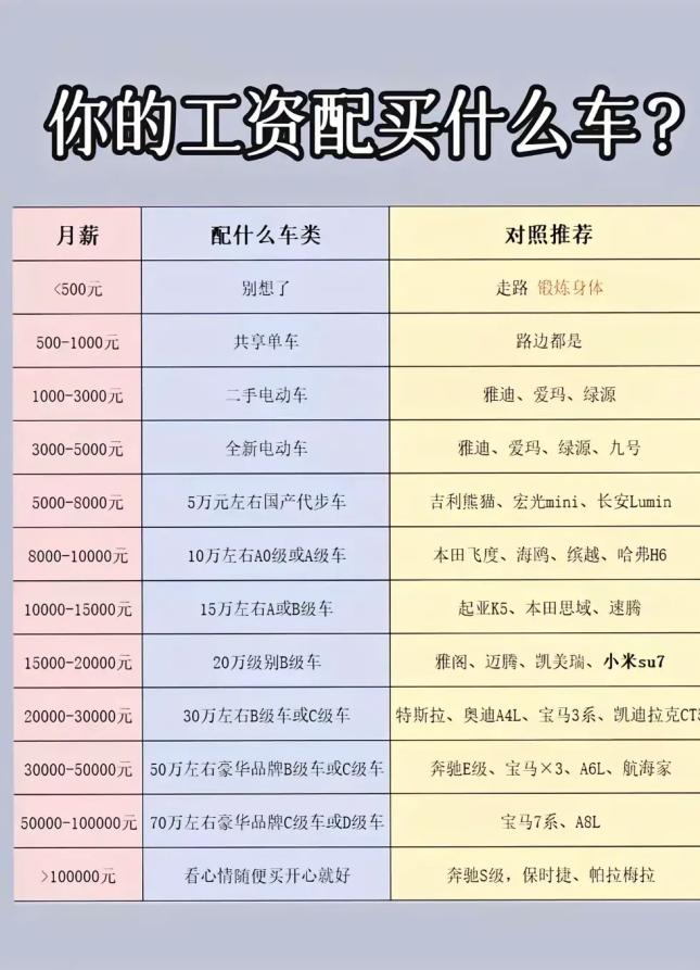 之前小定了零跑B10，结果看完G6发布会想退定买G6了，朋友发我这张表让我算算车