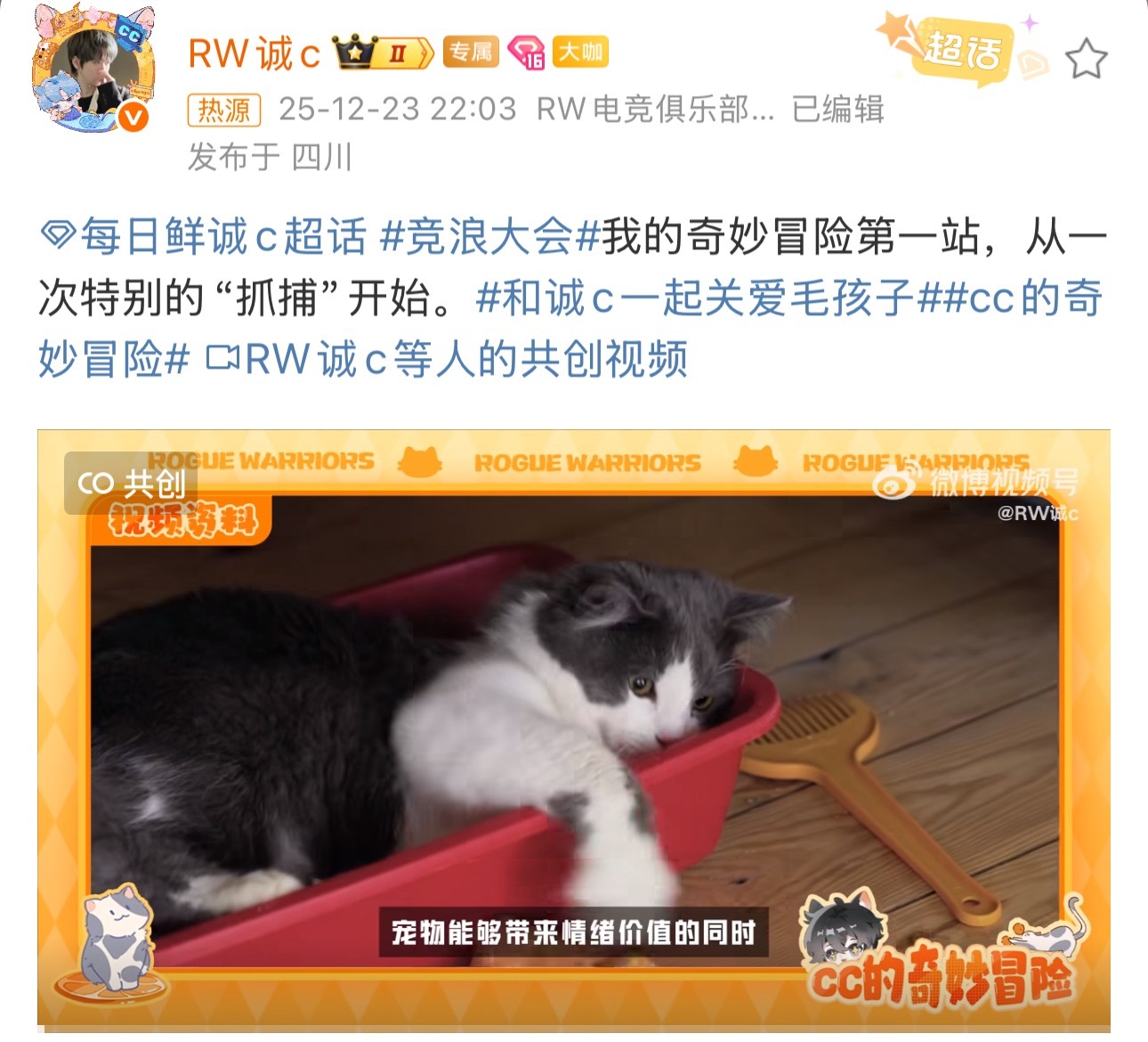 诚c捉猫救援行动 诚c的奇妙冒险之捉猫记，毛孩子也太可爱啦，跟着诚c一起关爱小猫