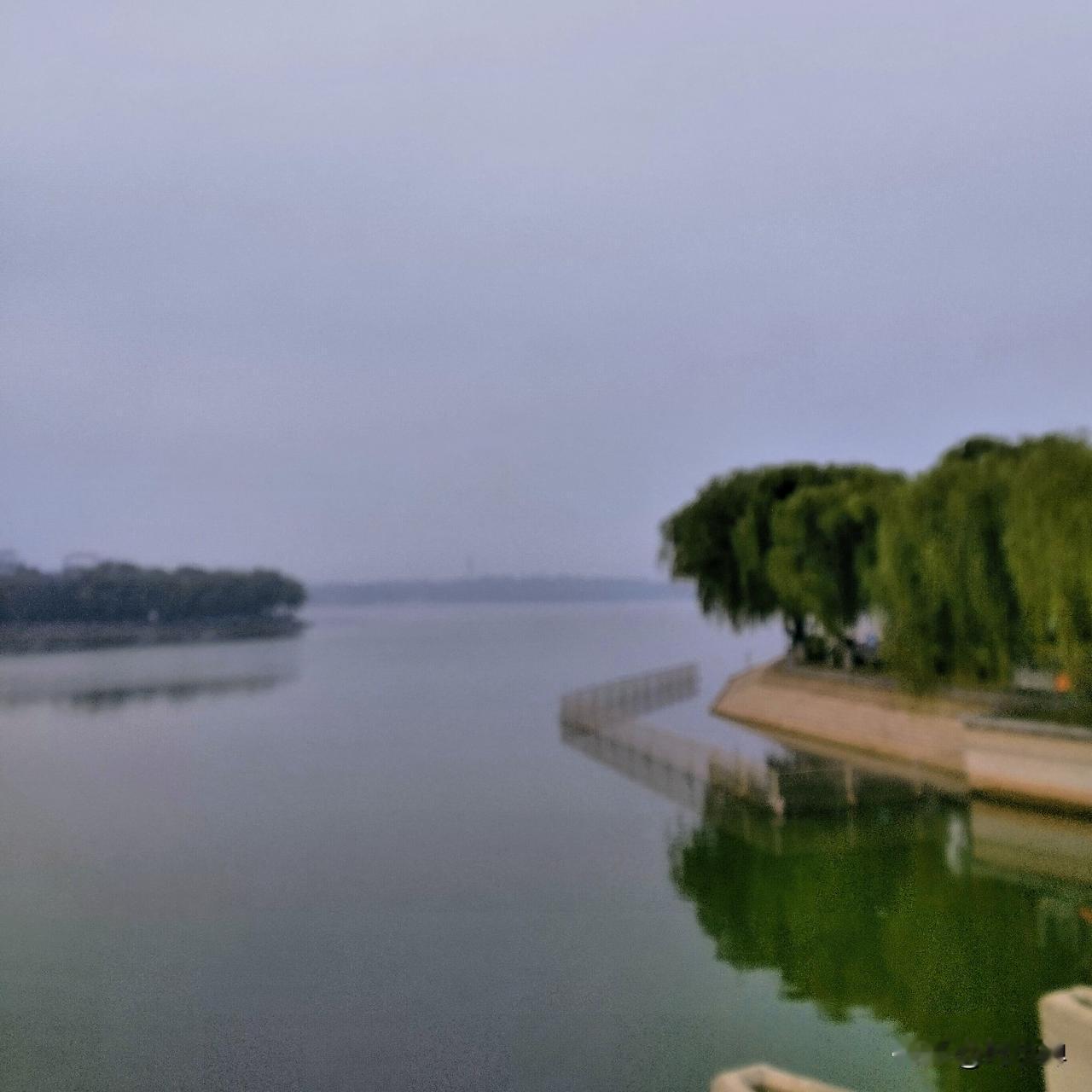 昨夜失眠，今晨的11公里，围湖跑，配速打回原形。
累了，眯一觉，下午似乎满血复活