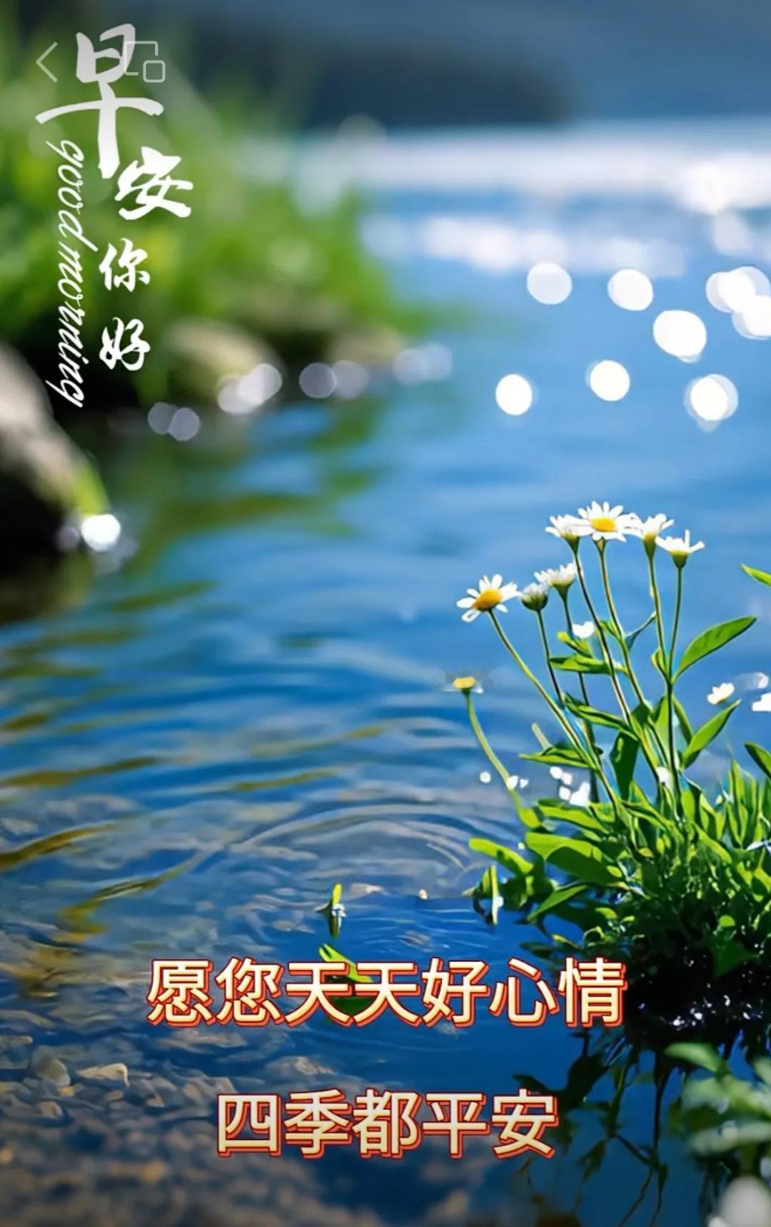 歲月難留舊時光，
唯有真情心裏裝，
看淡身外一切事，
無價之寶是健康，
但願人生