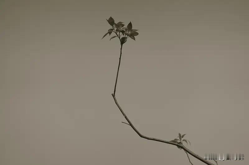 三十有二，时当芳春。
残寒渐尽，风物向新，心气渐归沉静。
 
日升月落，圆缺相循