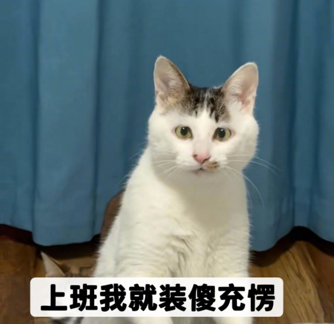 不要把工作太当回事不想上班 1、上班是因为大家贫穷而相遇；2、单位的事再大也是小