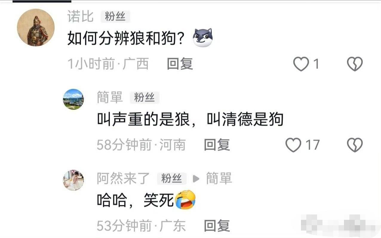 如何分清是狗还是狼？