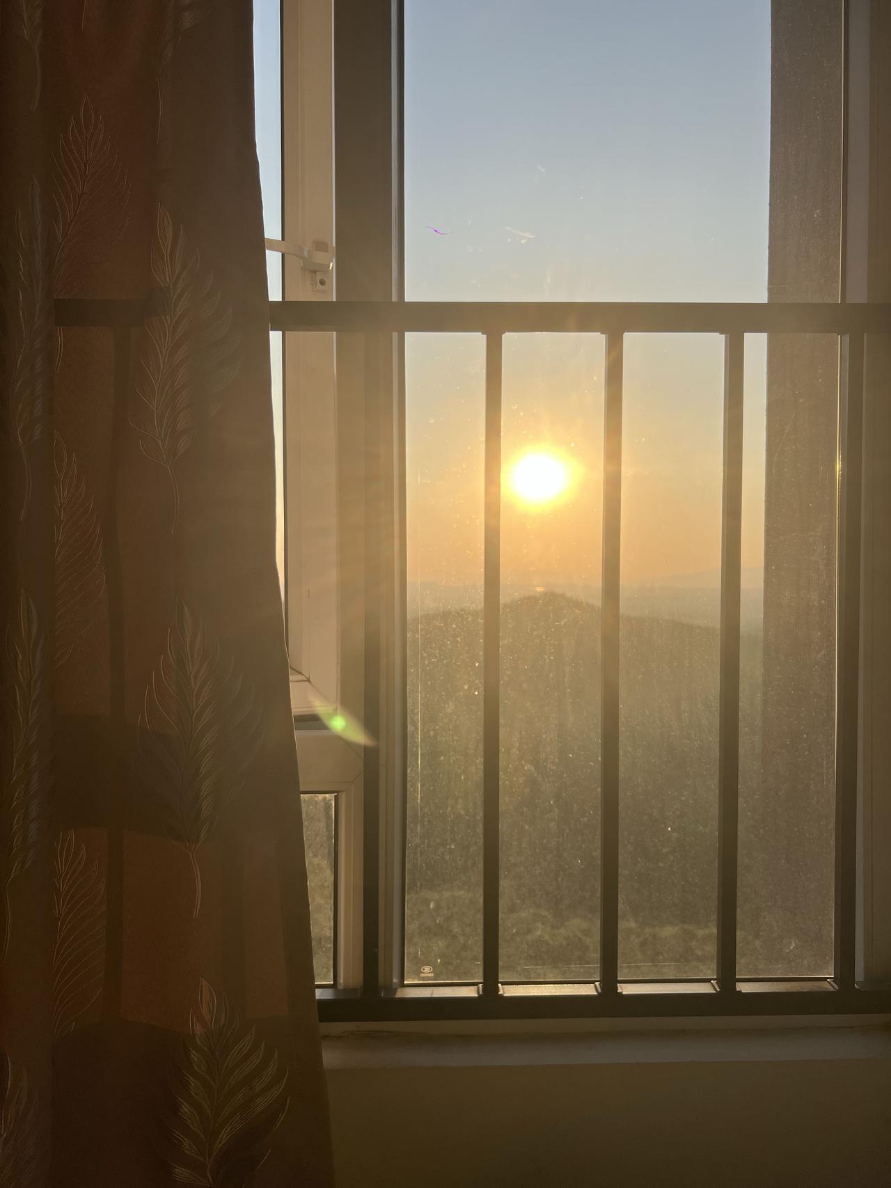 今年冬天的不同艳阳高照