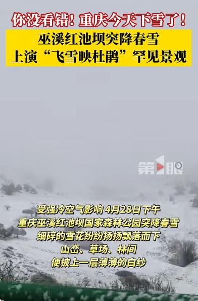 4 月 28 日下午，受强冷空气突袭，重庆巫溪红池坝高海拔景区惊喜空降春雪。漫山