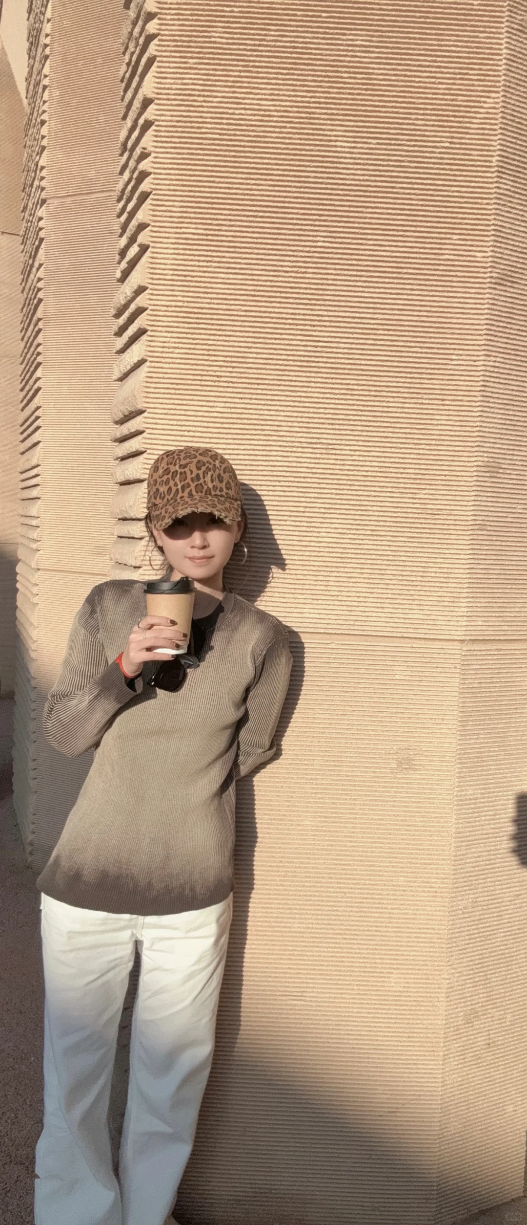 银川贺兰山岩画镇北堡西部影城西夏陵一日游