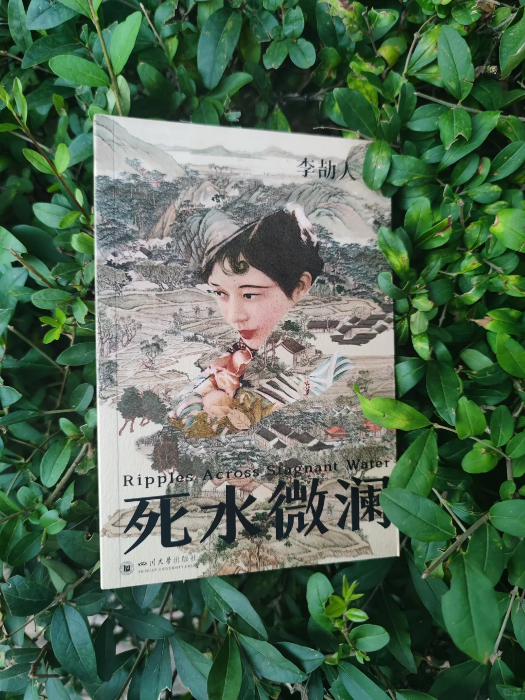 《死水微澜》：“张国立”的成都往事