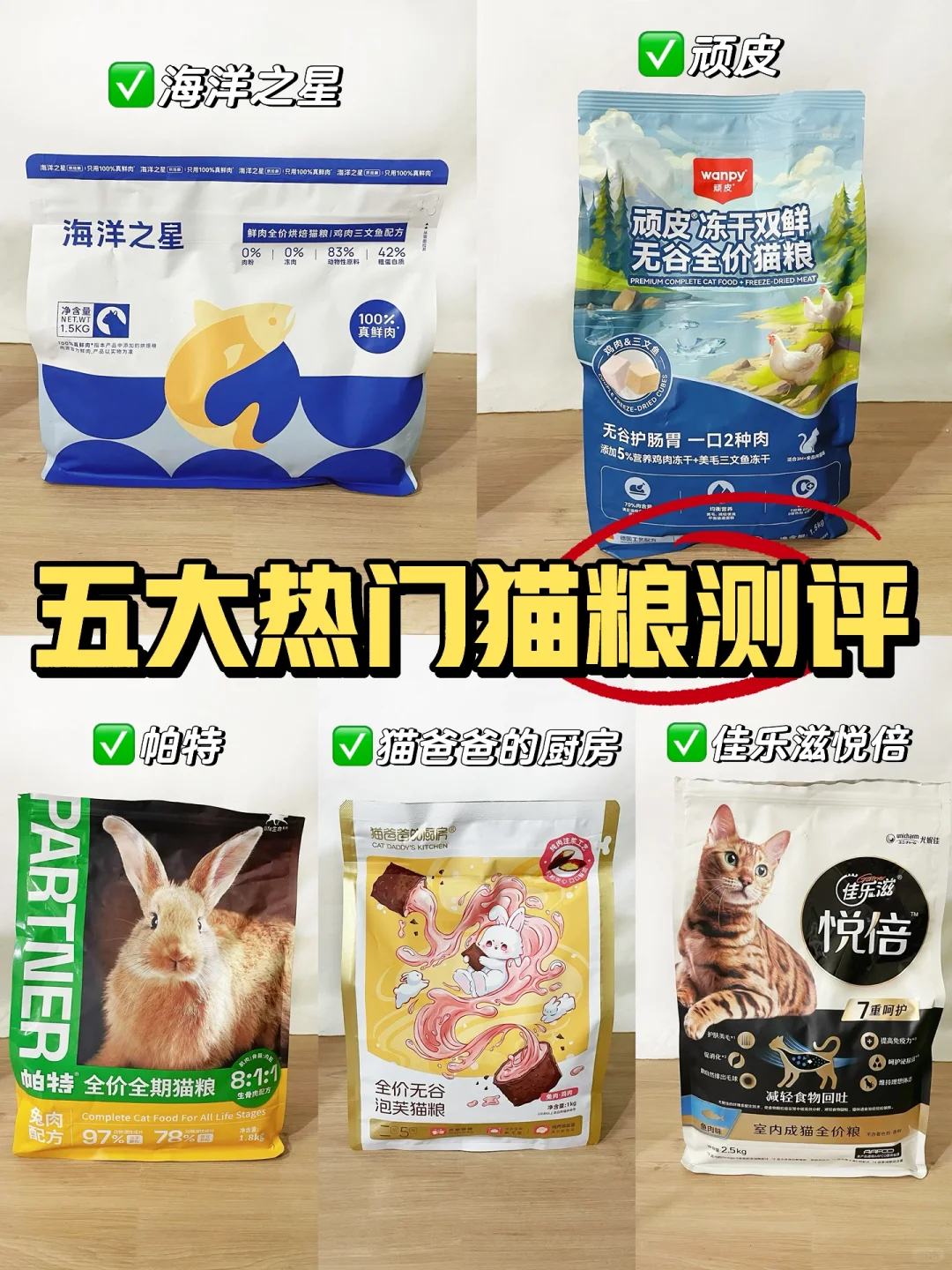 💥五大热门【猫粮评测】大揭秘