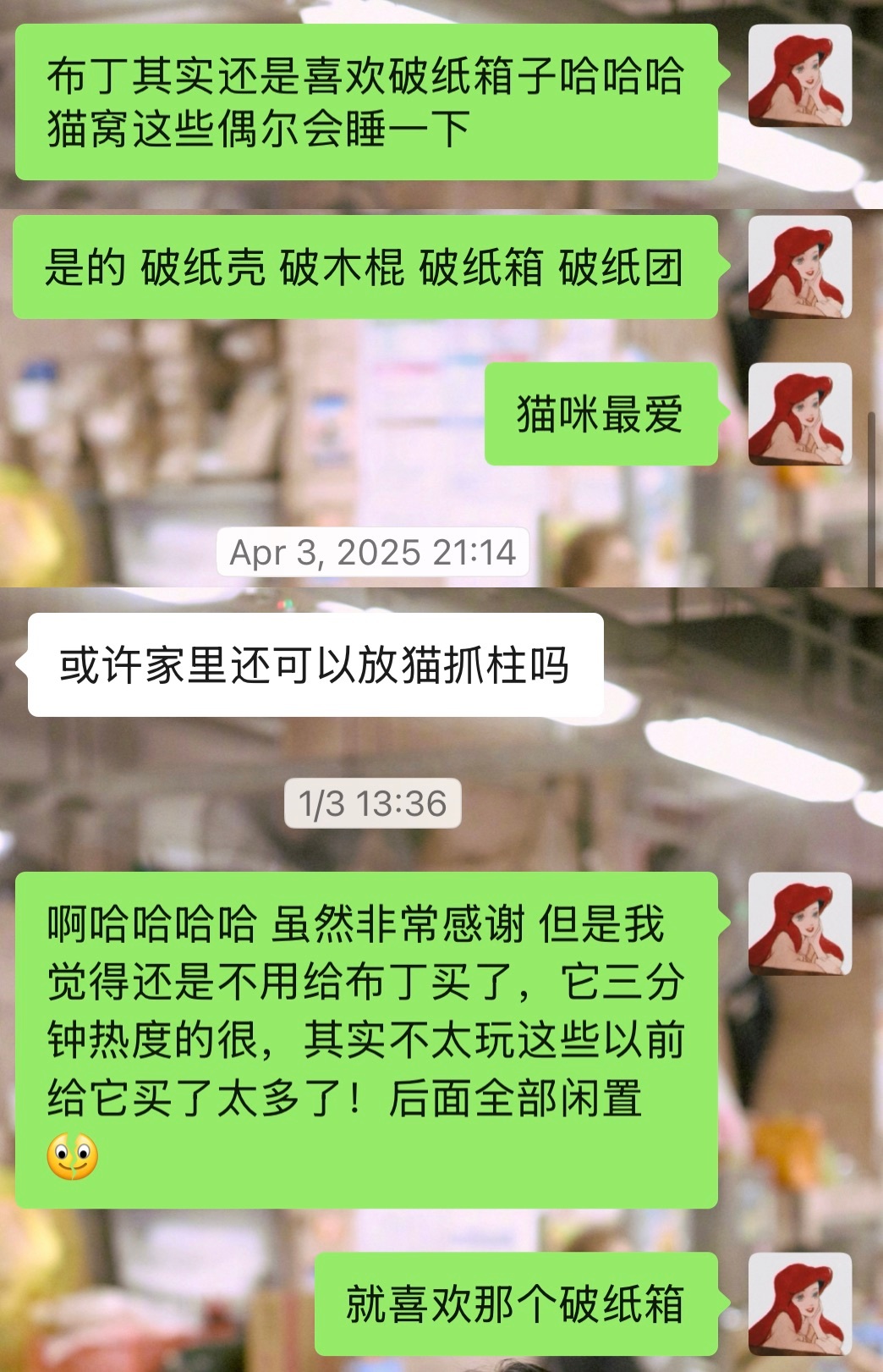 杨洋雨霖铃 不是，怎么都三十多集了，还是破房子啊展昭你真的是猫猫啊！我家猫就是那